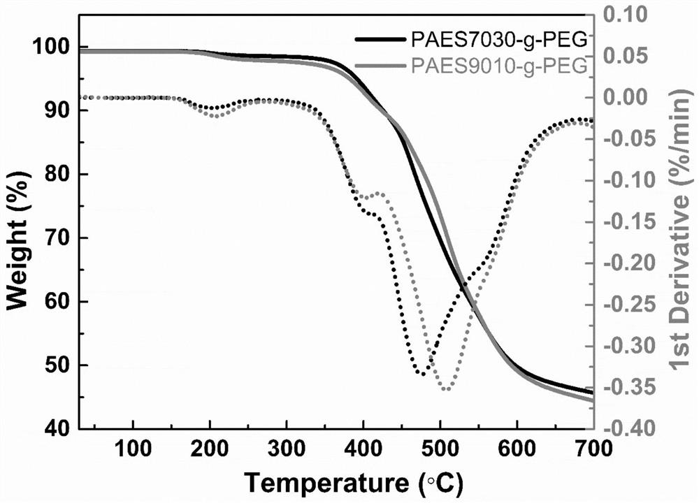 Polyarylether-based polymer with polyethylene glycol structure as side chain, solid polymer electrolyte and preparation method thereof