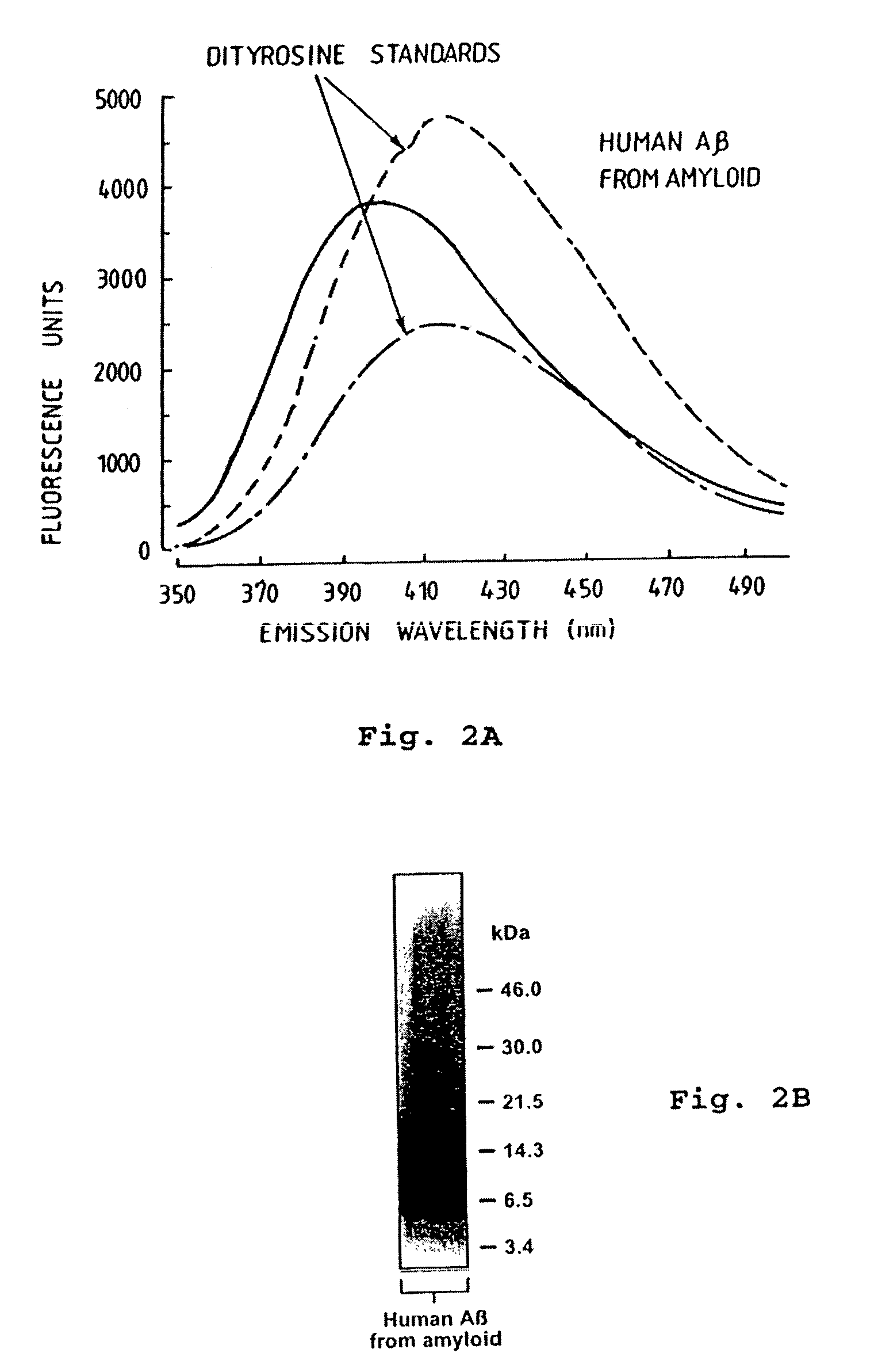 Neurotoxic oligomers