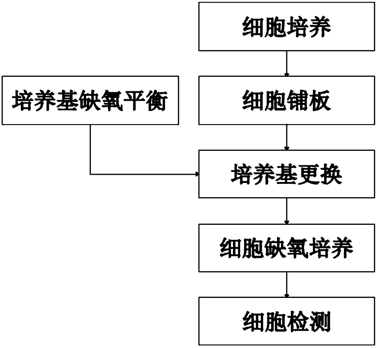 Method for establishing hypoxia injury cell model