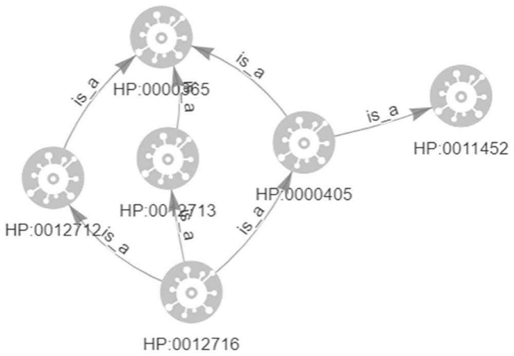 Rare disease auxiliary reasoning method and system based on phenotype visualization