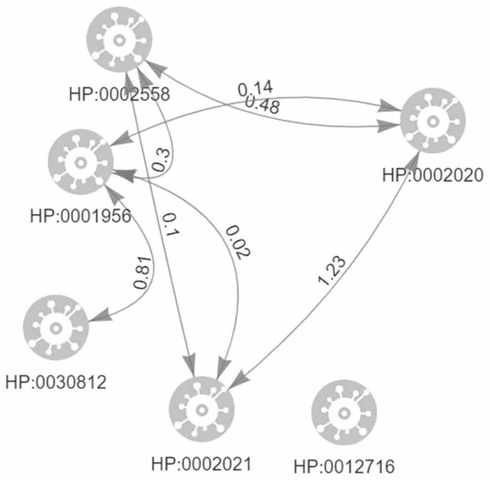 Rare disease auxiliary reasoning method and system based on phenotype visualization