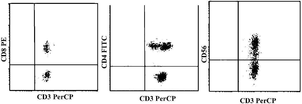 Quasi-chimeric antigen receptor-modified CIK (cytokine induced killer) as well as preparation method and application thereof