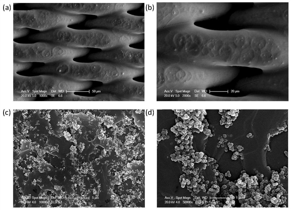 Super-infiltration metal net film and preparation method and application thereof