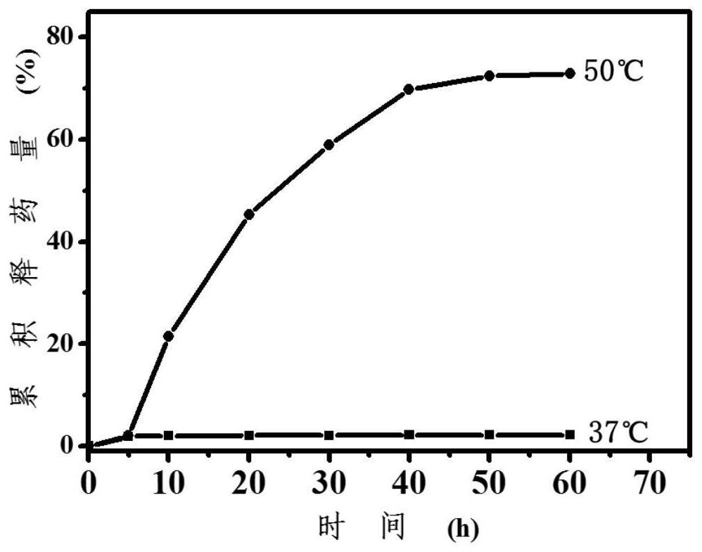 A nanoparticle for improving tumor tissue permeability, its preparation method and application