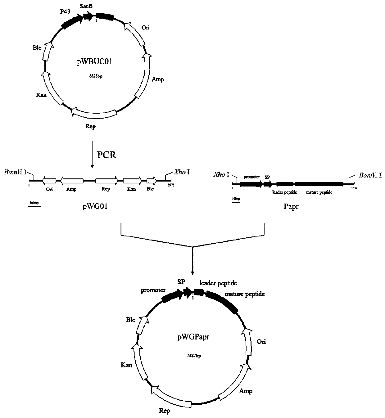 A kind of recombinant bacillus subtilis and its application