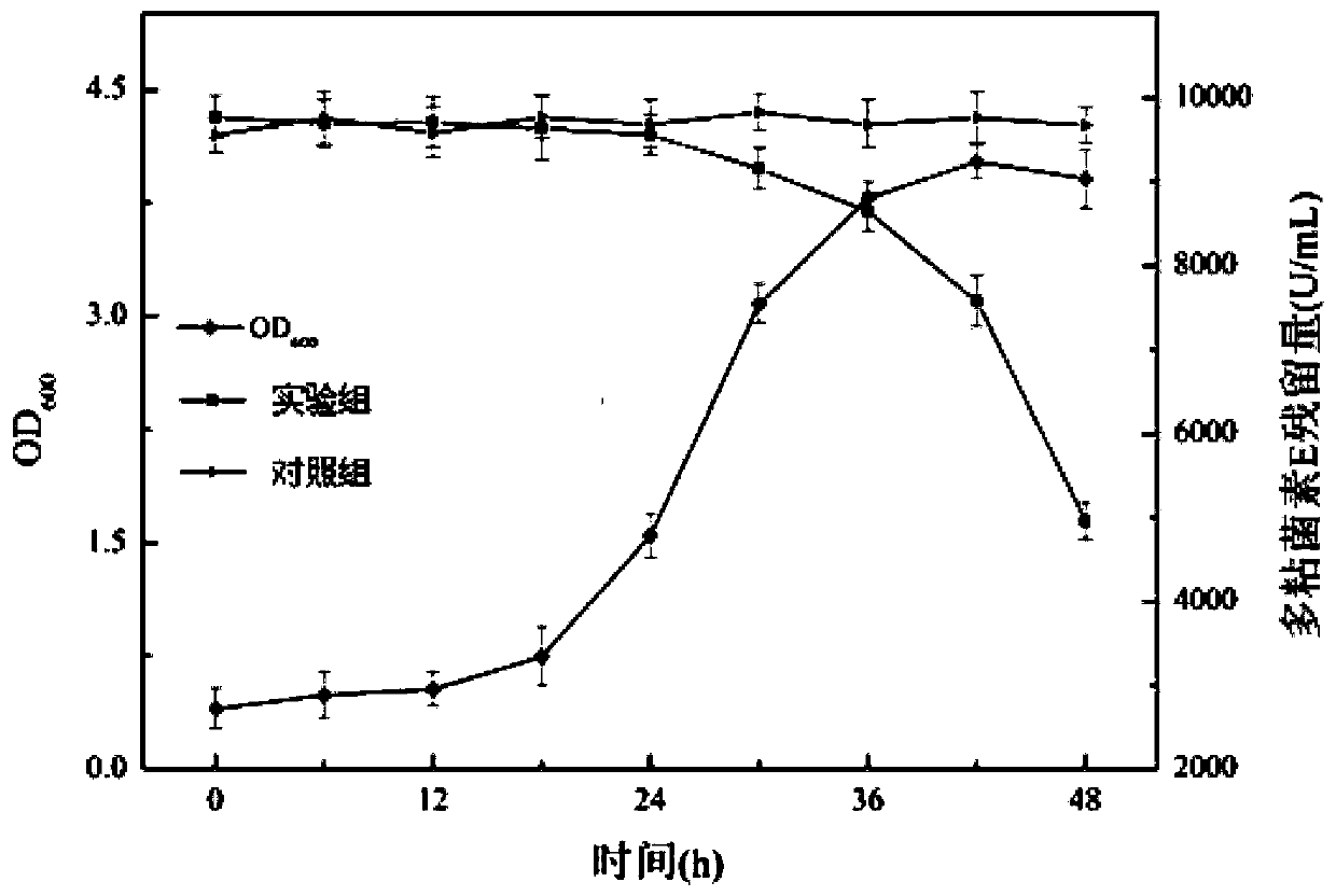 A kind of recombinant bacillus subtilis and its application