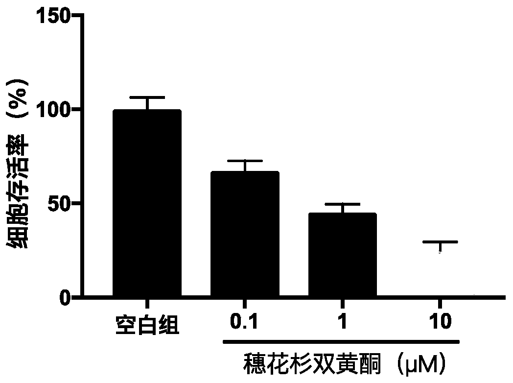 A kind of biflavonoid compound and its application