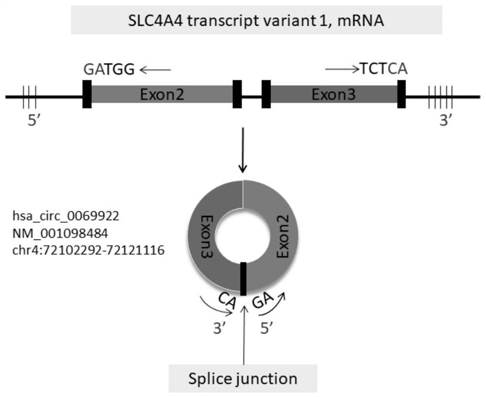 Application of hsa_circ_0069922 as a marker