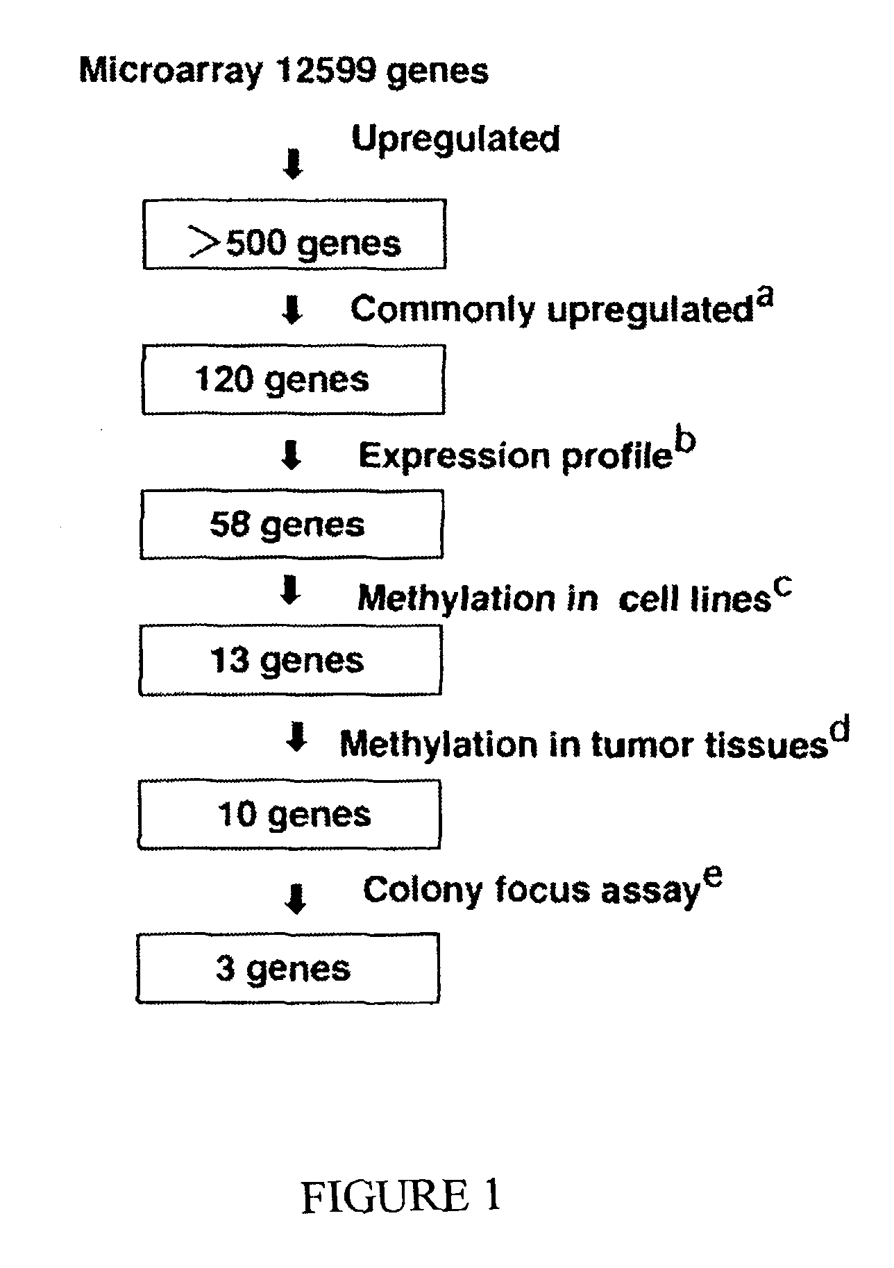 Genomic screen for epigenetically silenced tumor suppressor genes