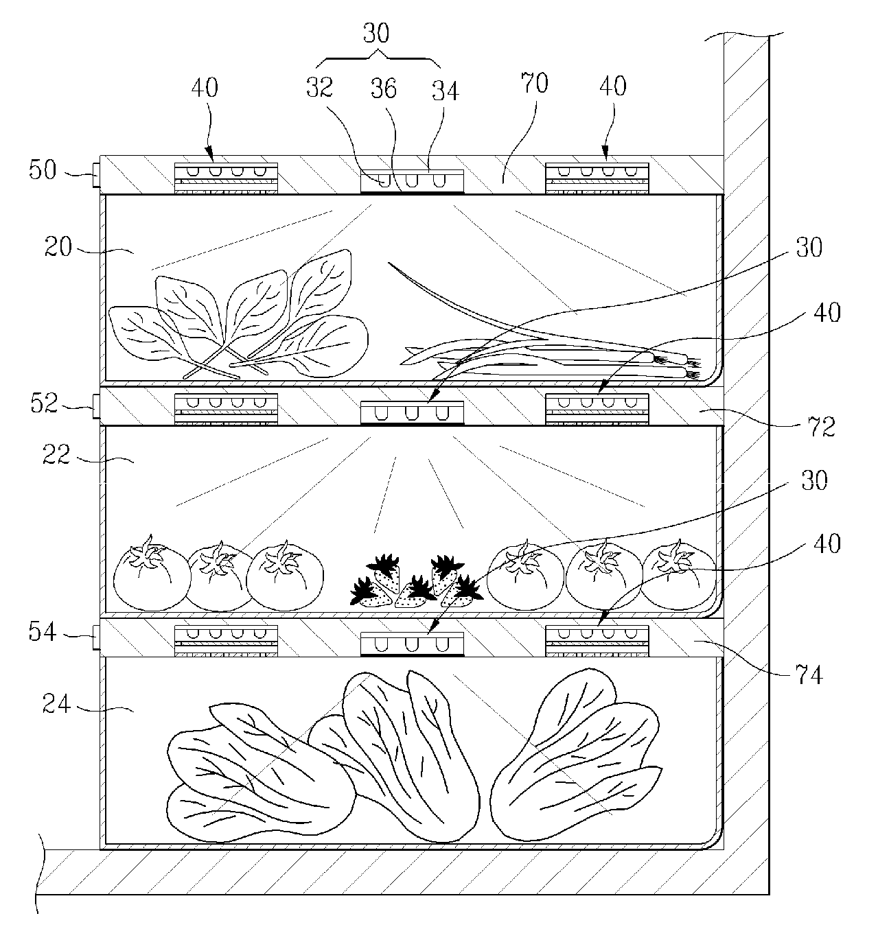 Refrigerator with visible light radiation