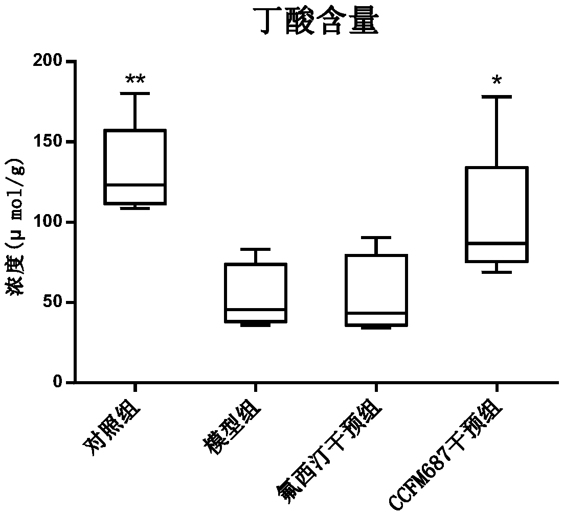 Bifidobacterium longum subsp. infantis CCFM687 as well as fermented food and application thereof