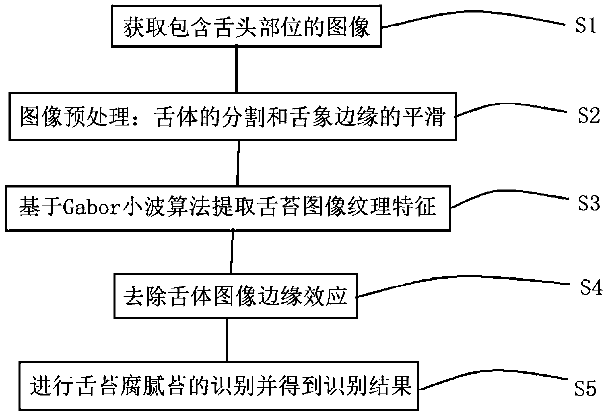 traditional Chinese medicine tongue coat greasy identification method