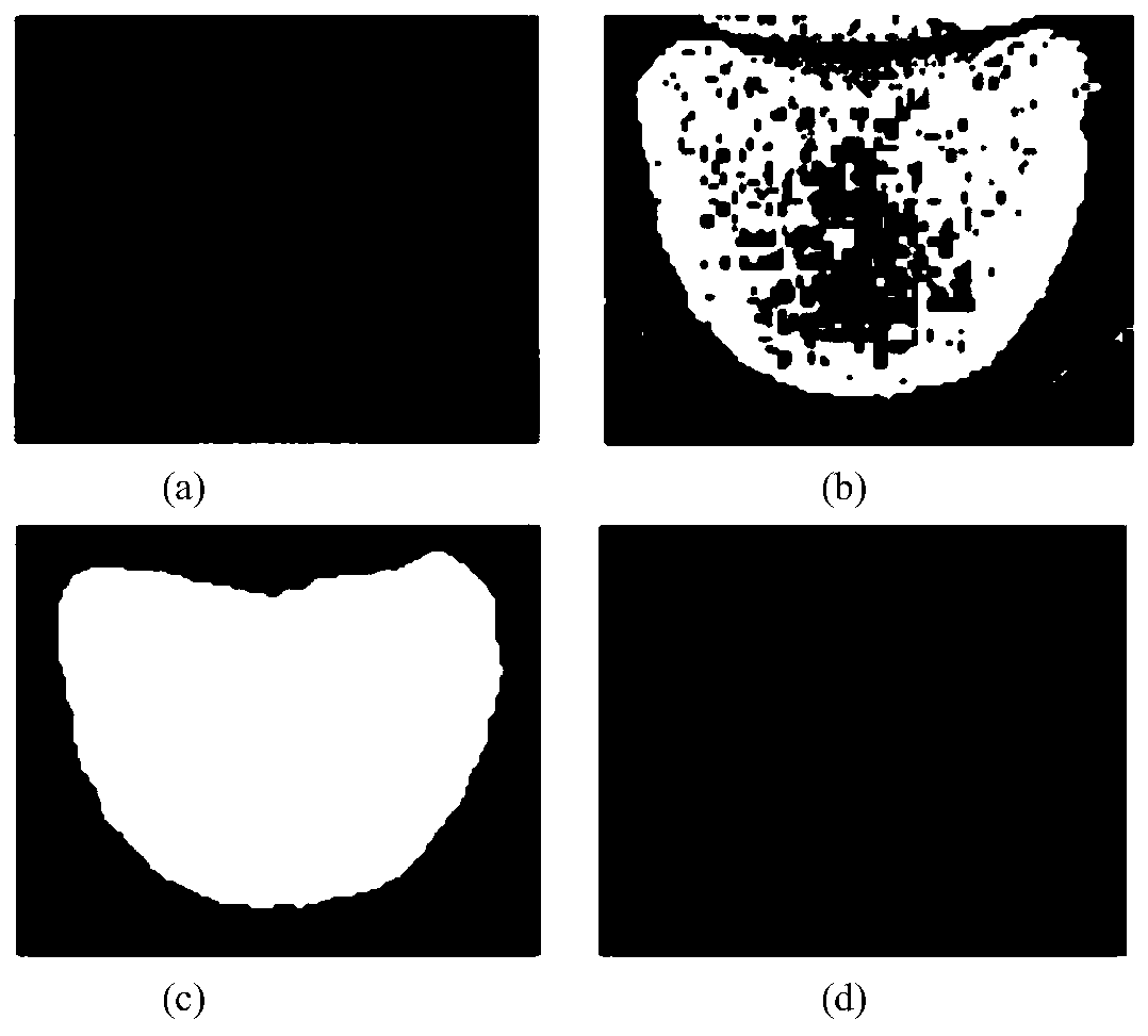 traditional Chinese medicine tongue coat greasy identification method