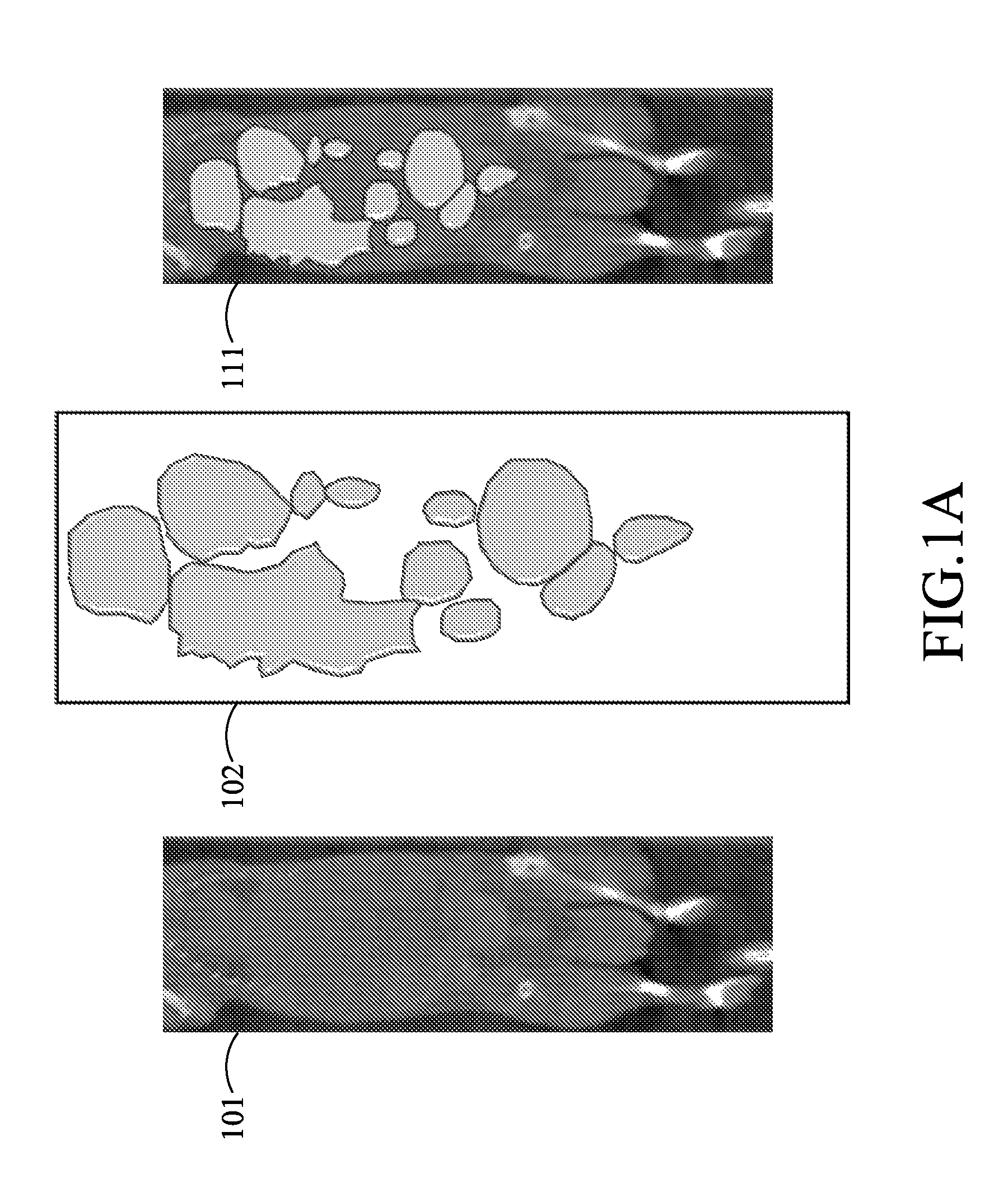 Volume-of-interest segmentation system for use with molecular imaging quantization