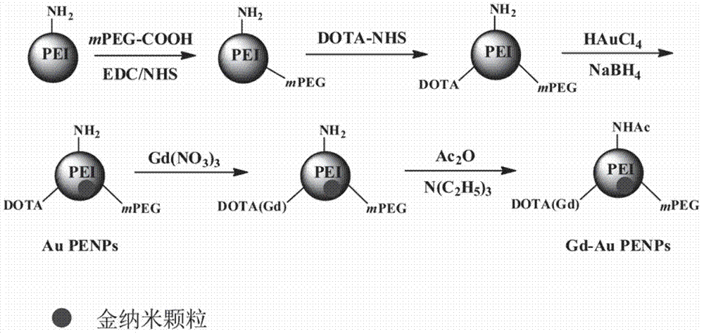 Method for preparing CT/MR dual-mode imaging contrast agent based on hyperbranched polyethyleneimine molecules