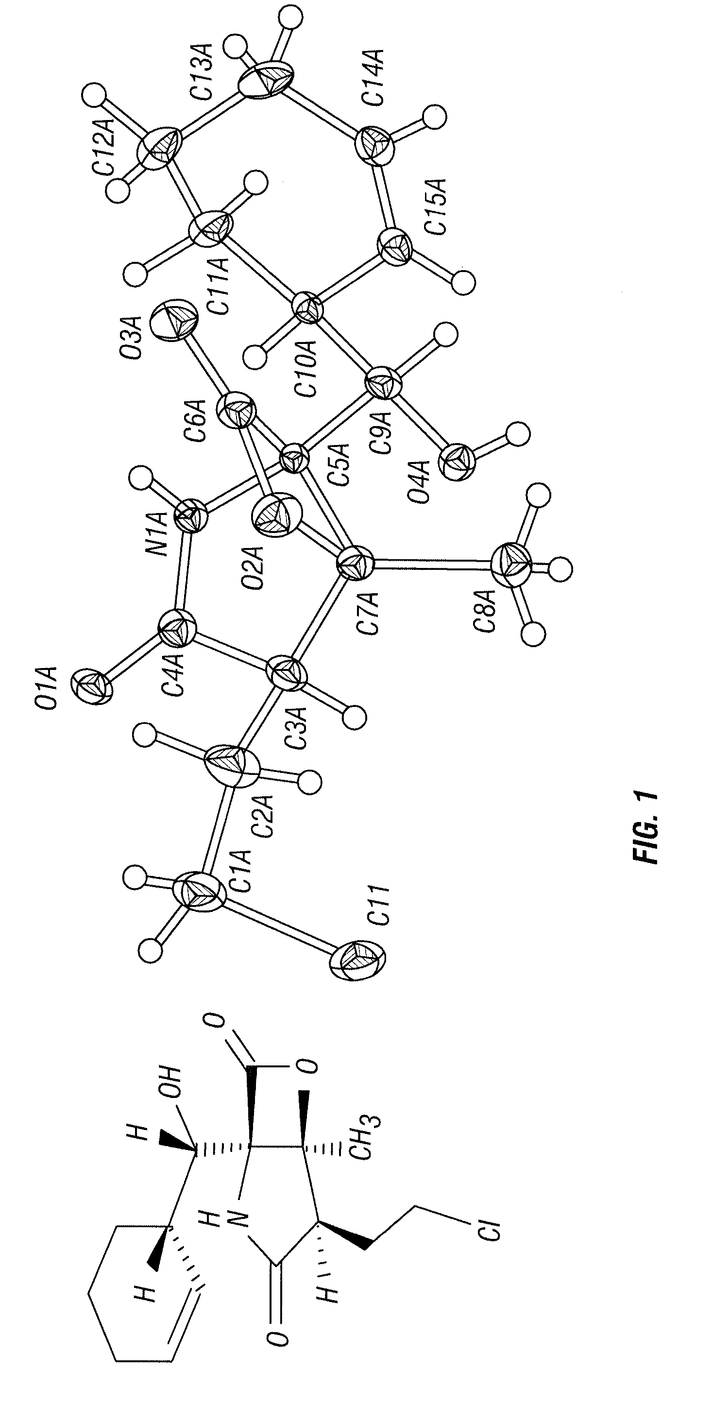 Biosyntheses of salinosporamide A and its analogs and related methods of making salinosporamide A and its analogs