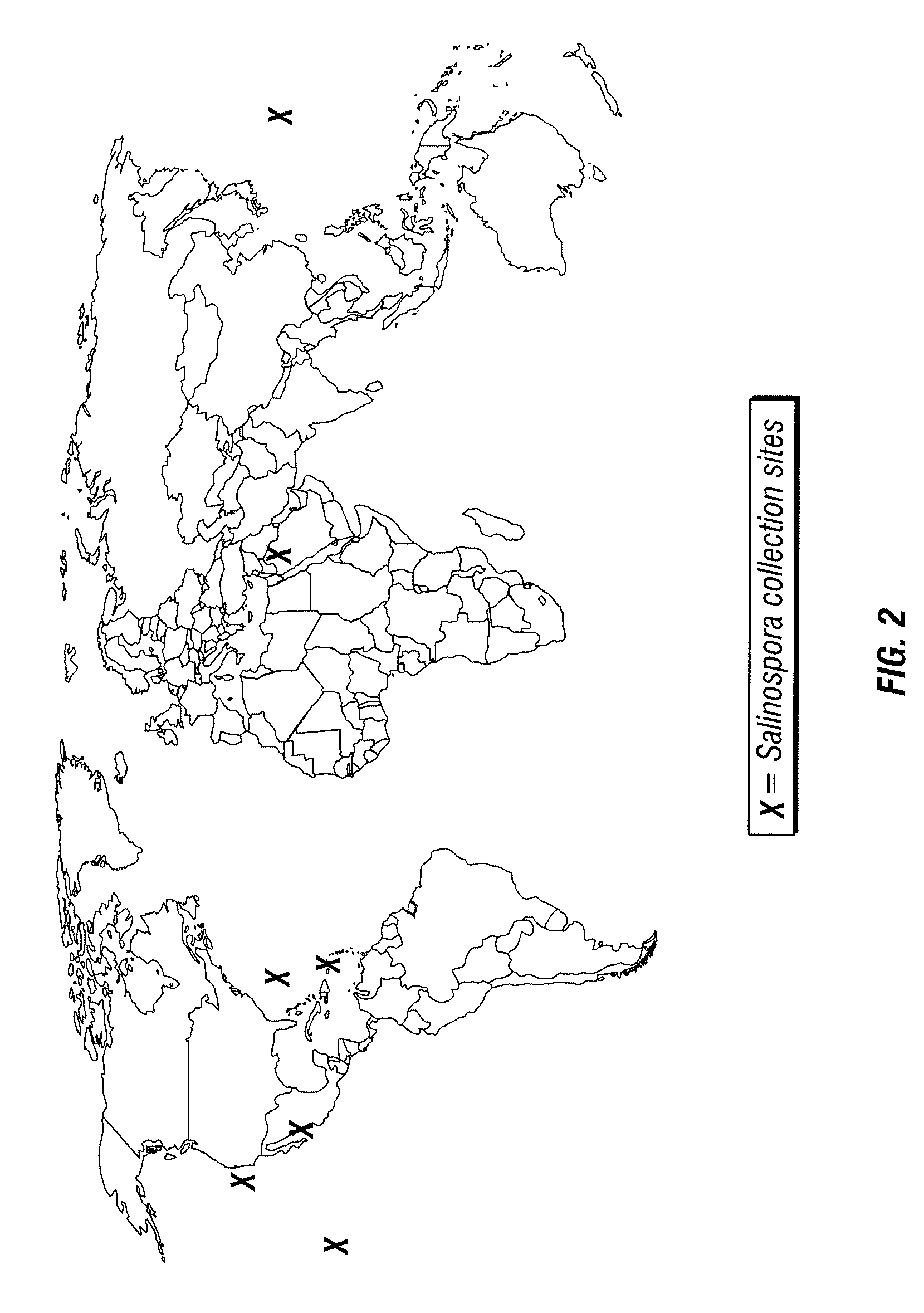 Biosyntheses of salinosporamide A and its analogs and related methods of making salinosporamide A and its analogs