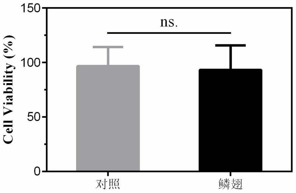 A kind of conductive nerve conduit based on butterfly lepidopteran and preparation method thereof