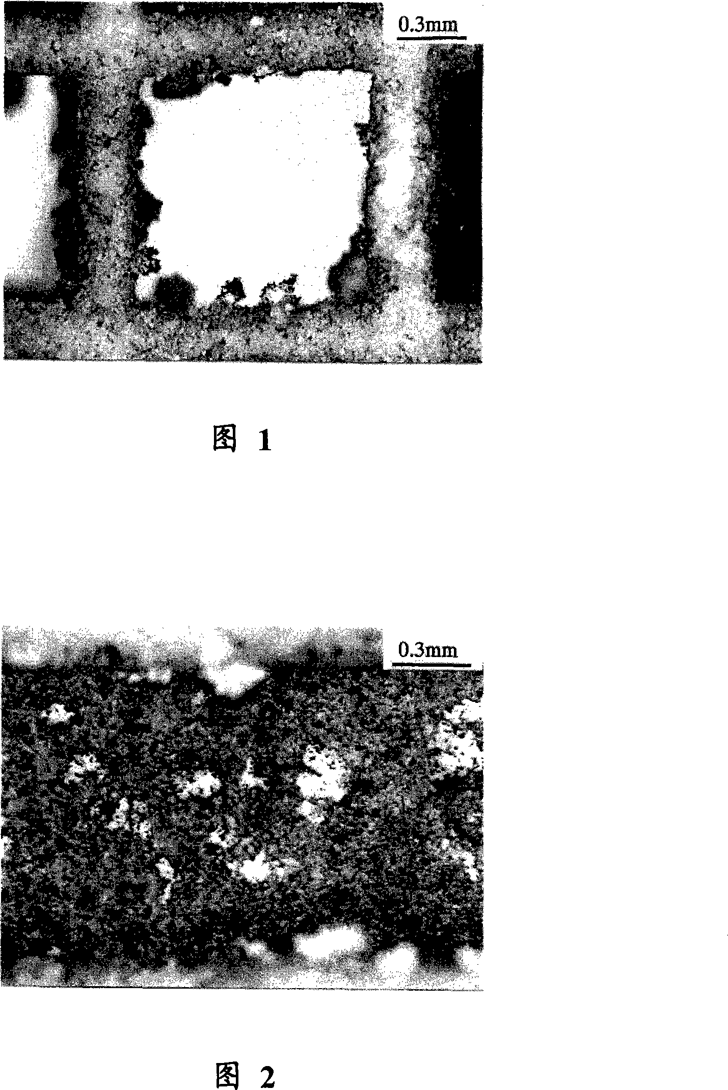 Catalyst for purifying exhaust gases and process for producing the same