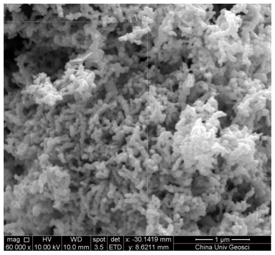 Method for degrading bisphenol A by activating sodium percarbonate with nanometer zero valent iron