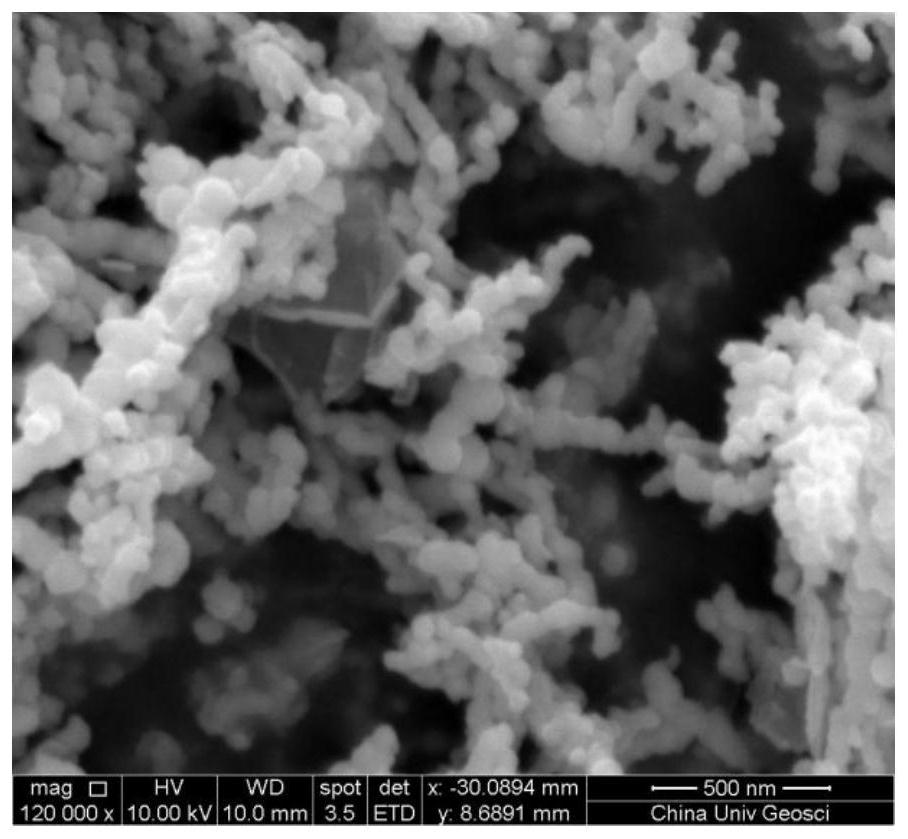 Method for degrading bisphenol A by activating sodium percarbonate with nanometer zero valent iron