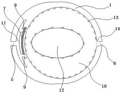 Detection apparatus and detection method for migration of phosphate plasticizer from shell fabric to skin