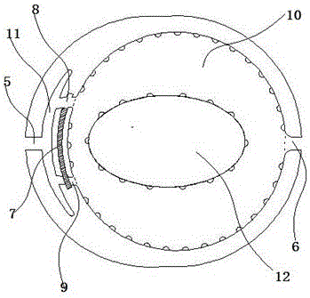 Detection apparatus and detection method for migration of phosphate plasticizer from shell fabric to skin