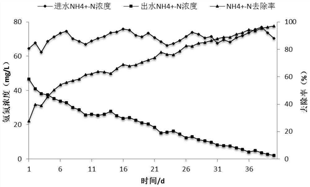 A SBR partial nitrosation process matching anaerobic ammonium oxidation