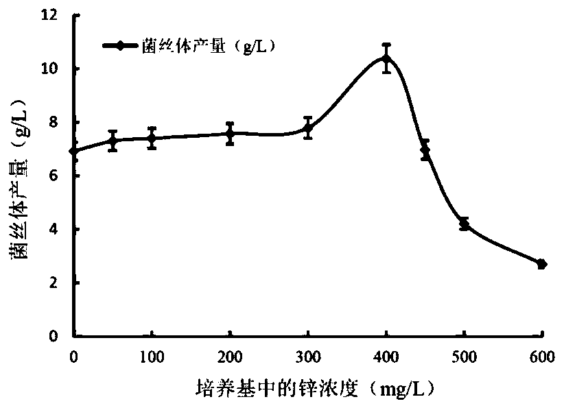 Method for improving yield of thelephora ganbajun mycelia and polysaccharides and application of thelephora ganbajun polysaccharides