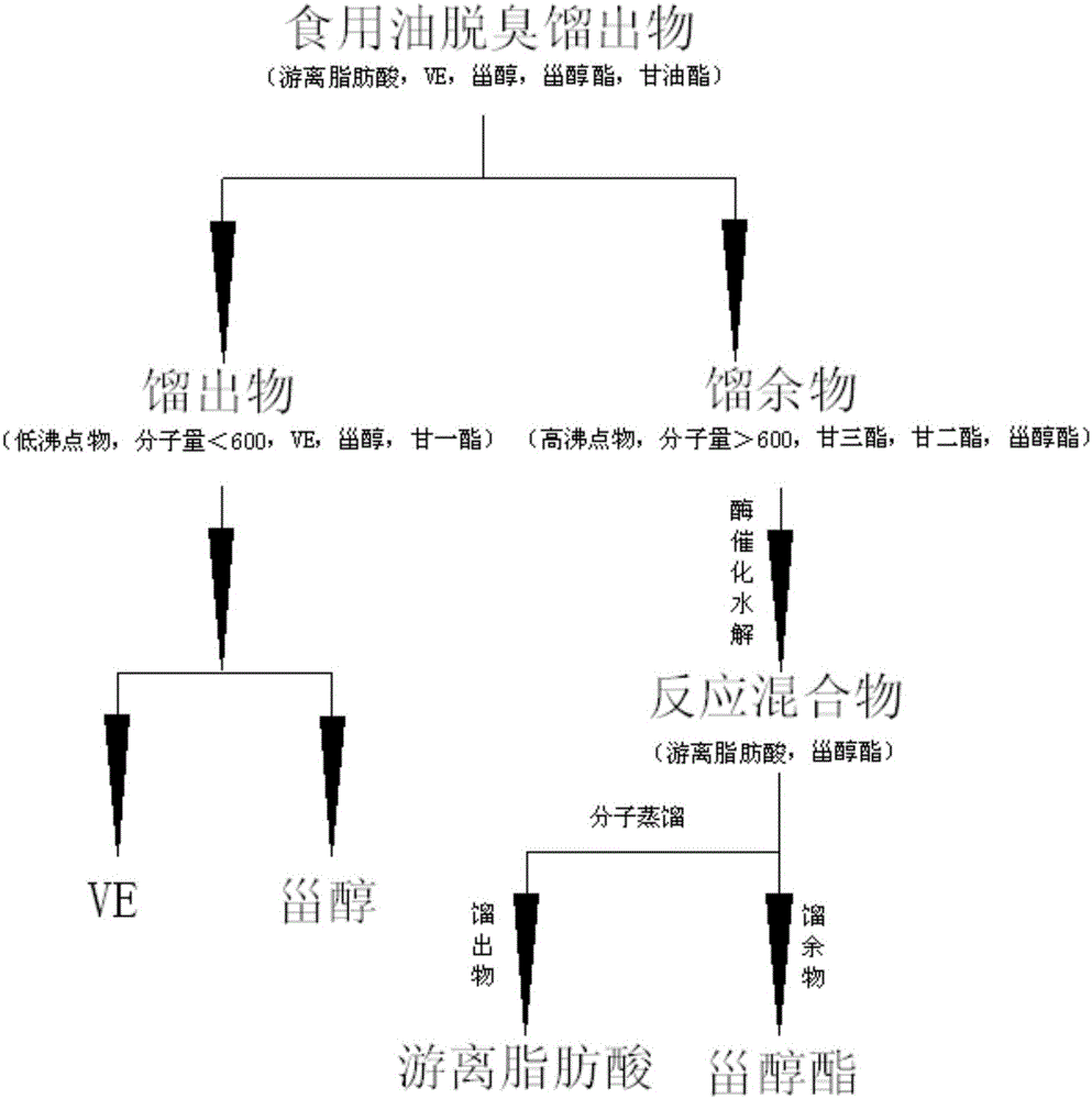 Method of extracting steryl ester from high-temperature deodorized substance of edible oil through combination of enzyme hydrolysis and molecular distillation