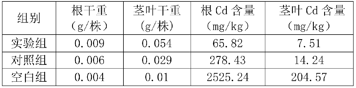 Composite passivator for cadmium contaminated soil and application of composite passivator