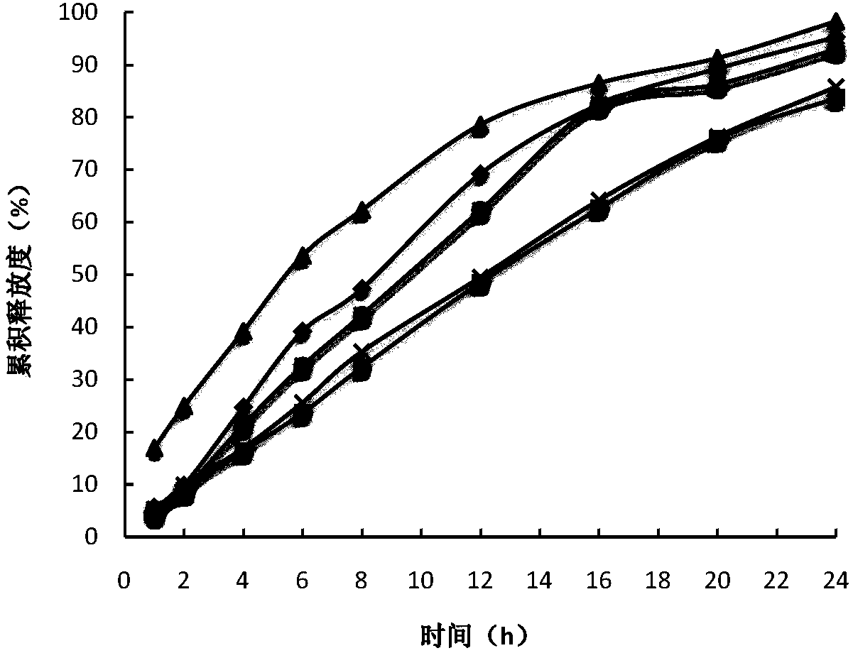 Sustained-release preparation of 5-methyltetrahydrofolic acid and preparation method thereof