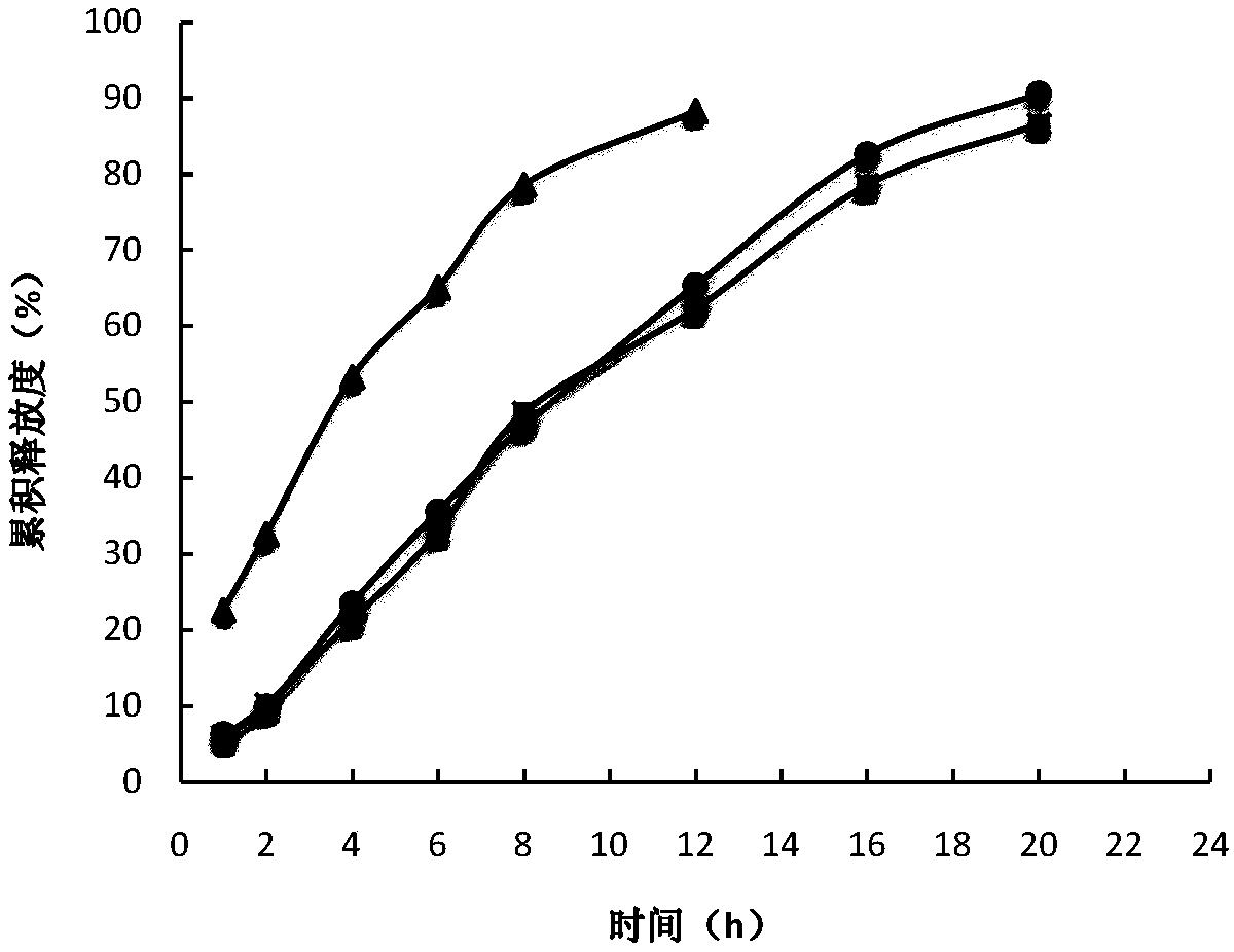 Sustained-release preparation of 5-methyltetrahydrofolic acid and preparation method thereof