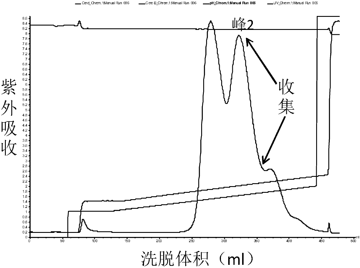 PEG (pegylation) kininogenase preparation and application thereof