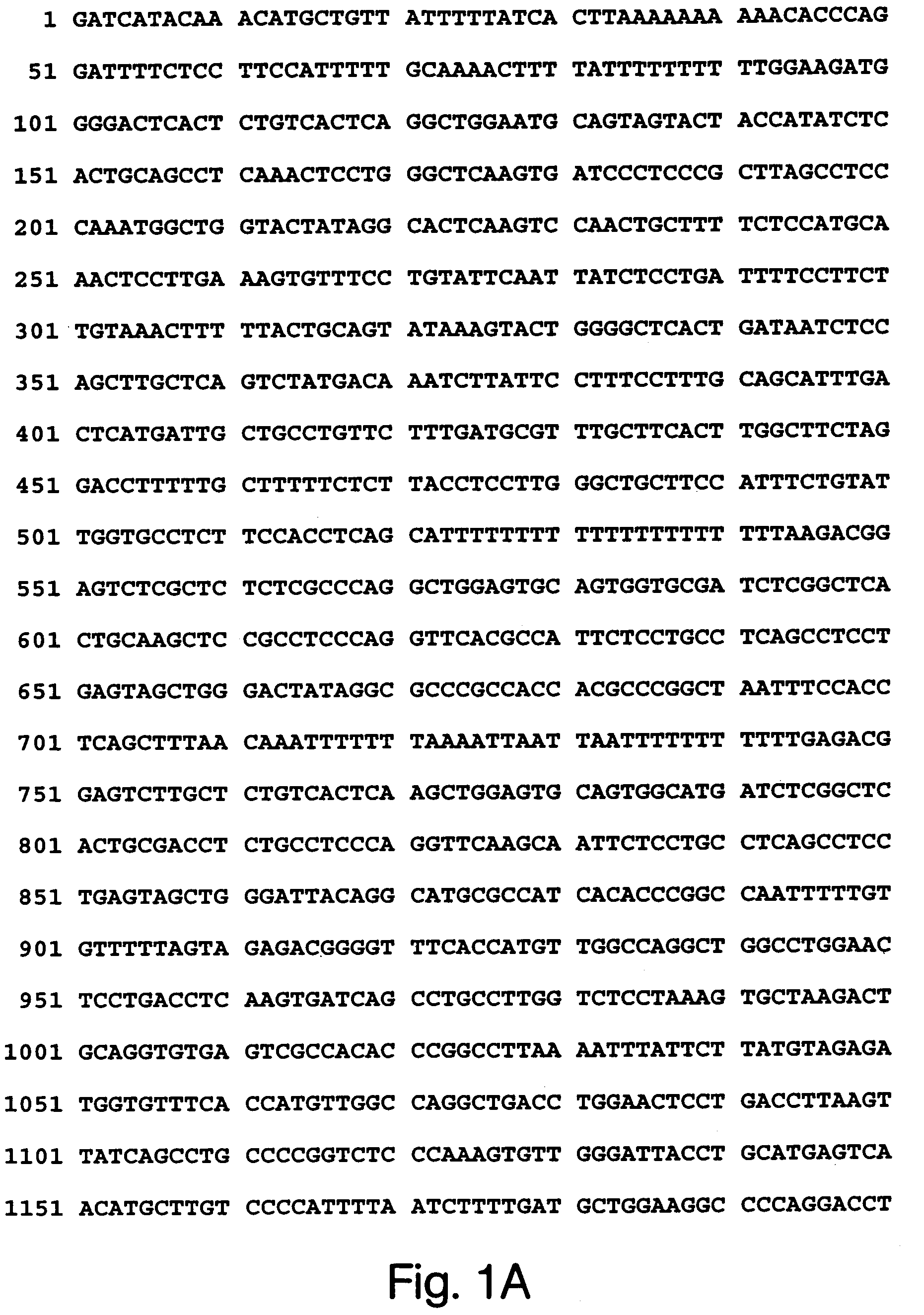 Renal regulatory elements and methods of use thereof