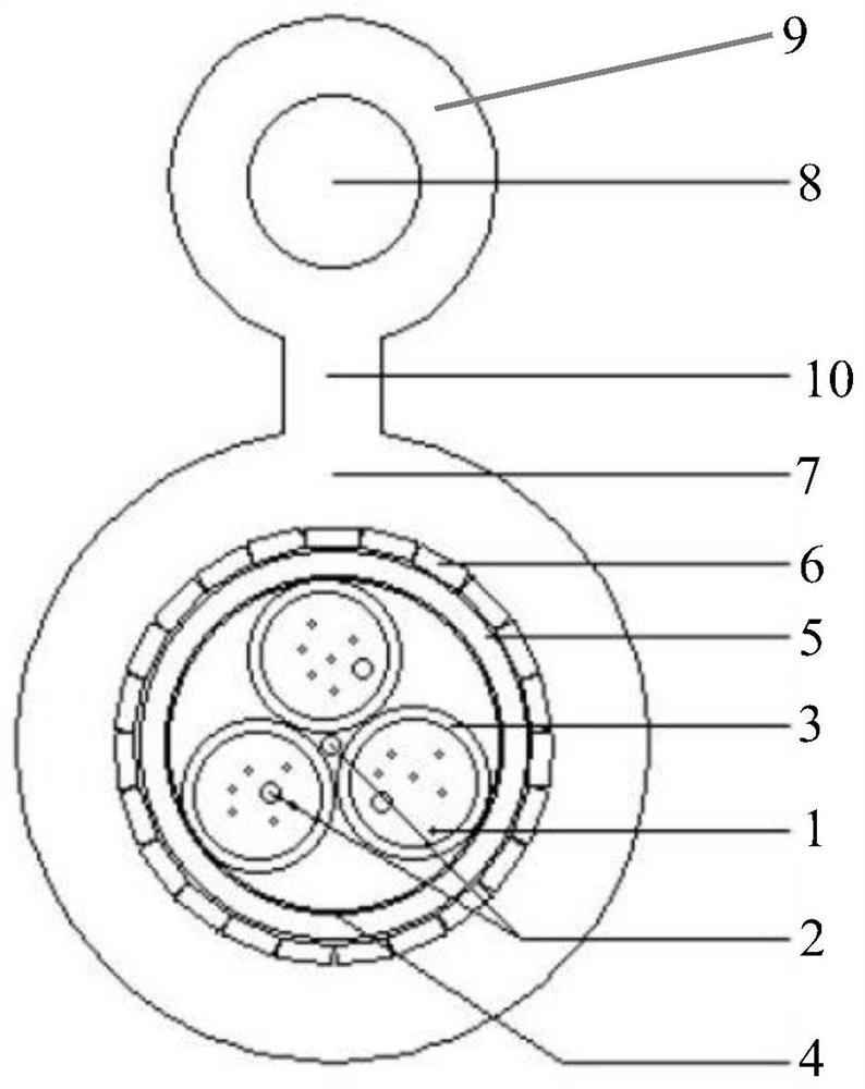 8-shaped biological bite prevention optical cable