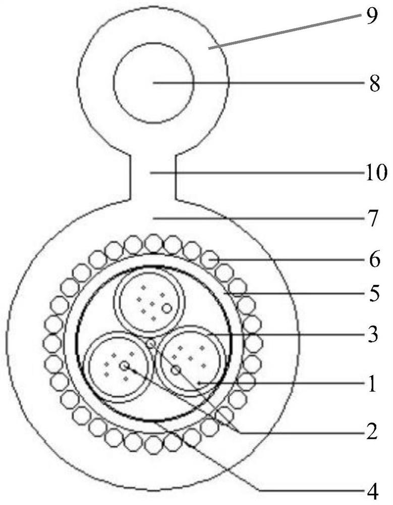 8-shaped biological bite prevention optical cable