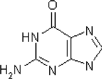 Refining method for ganciclovir