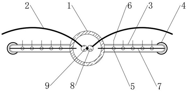 Self-stripping waterproof coating and preparation method thereof