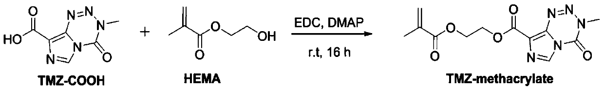 Temozolomide prodrug nano-micelles and preparation method therefor and application of temozolomide prodrug nano-micelles