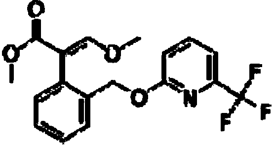 Bactericidal composition containing picoxystrobin and prochloraz, and applications thereof,