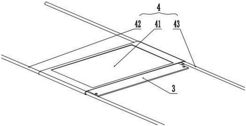 Food grain two-side scanning device