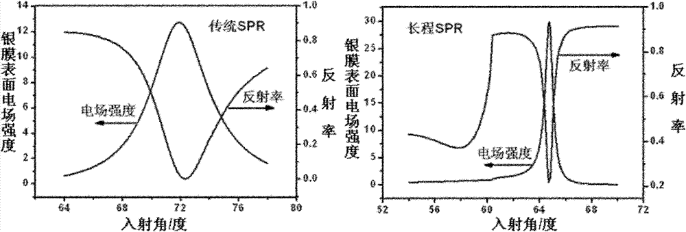 Method for exciting surface-enhanced Raman spectroscopy (SERS) through long range surface plasmon