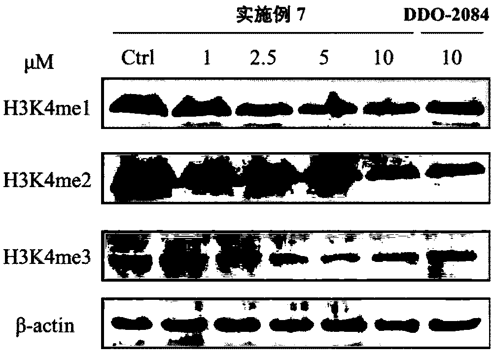 Phenyl triazole MLL1-WDR5 protein-protein interaction inhibitor