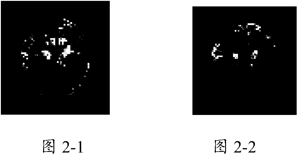 Method and device for functional magnetic resonance imaging