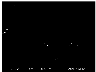 Preparation method of plant fiber porous composite material