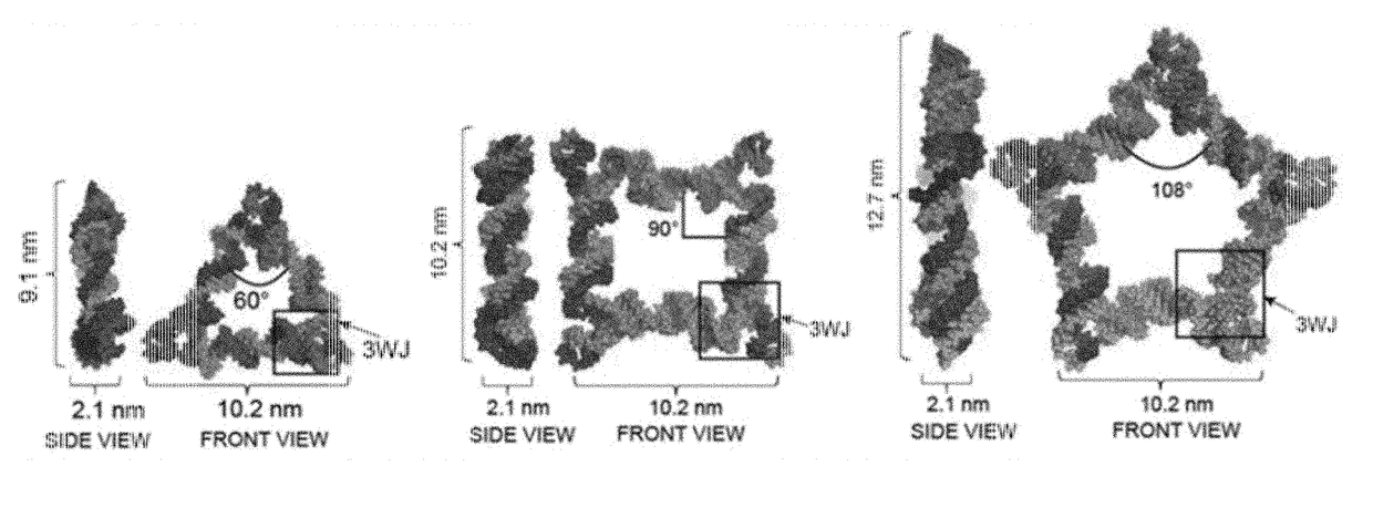 Rna-based compositions and adjuvants for prophylactic and therapeutic treatment