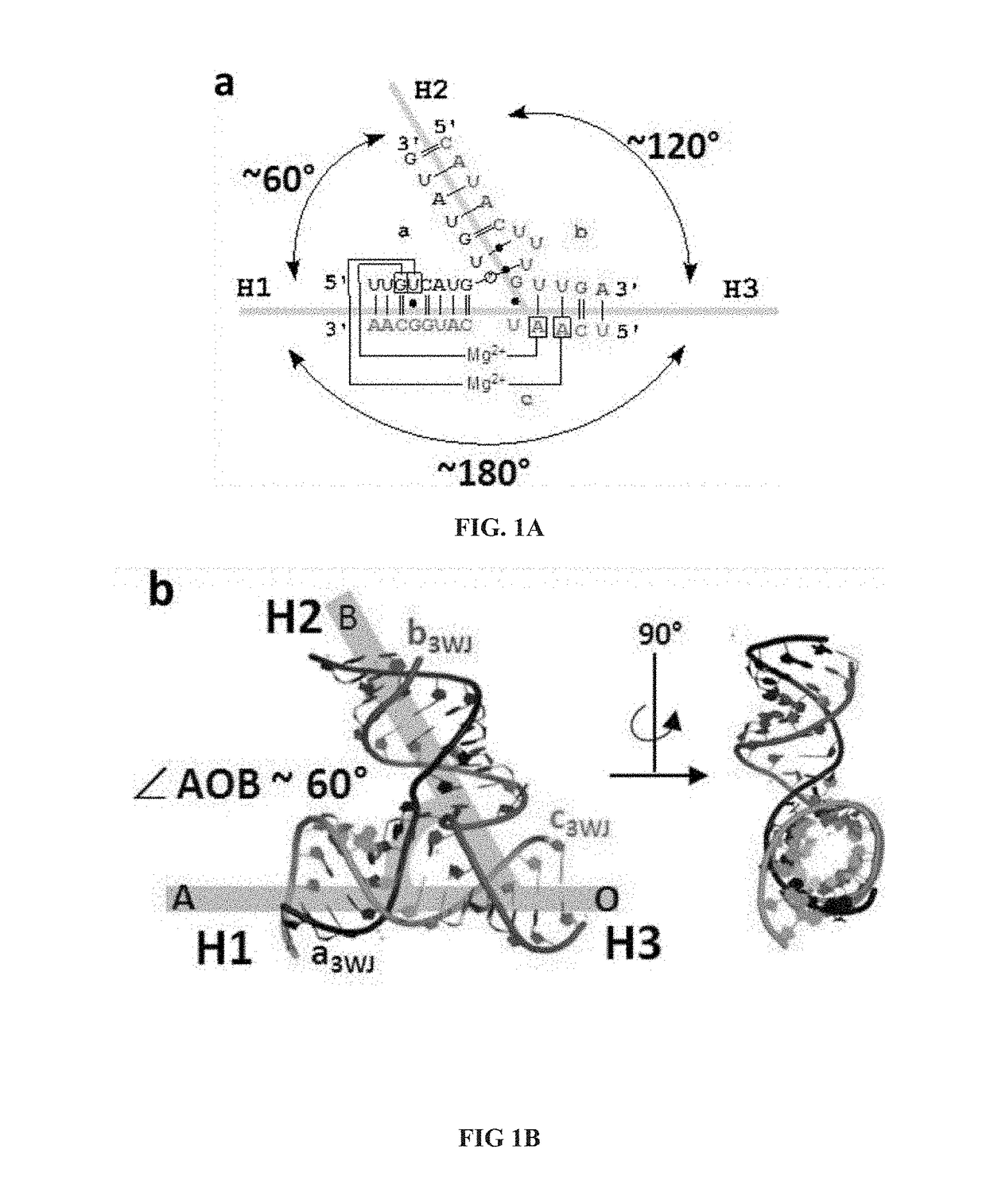 Rna-based compositions and adjuvants for prophylactic and therapeutic treatment