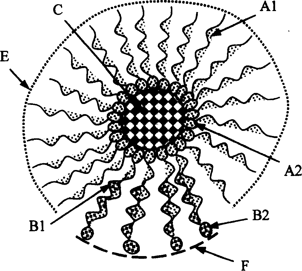 Hydrophobic nano particles and process for preparing dispersion liquid thereof