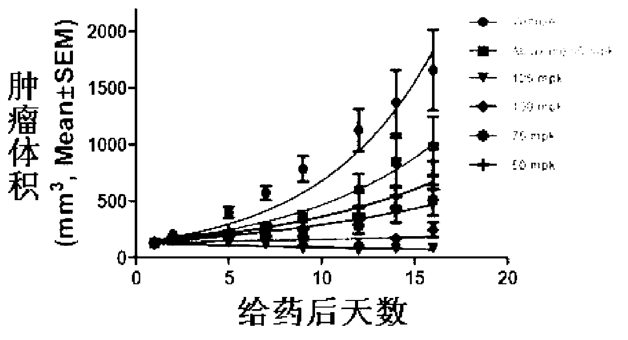 Pharmaceutic adjuvant with collaborative work and anti-tumor application thereof